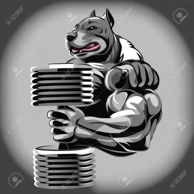 Векторная иллюстрация, сильная собака, делая упражнения с гантелями для бицепсов