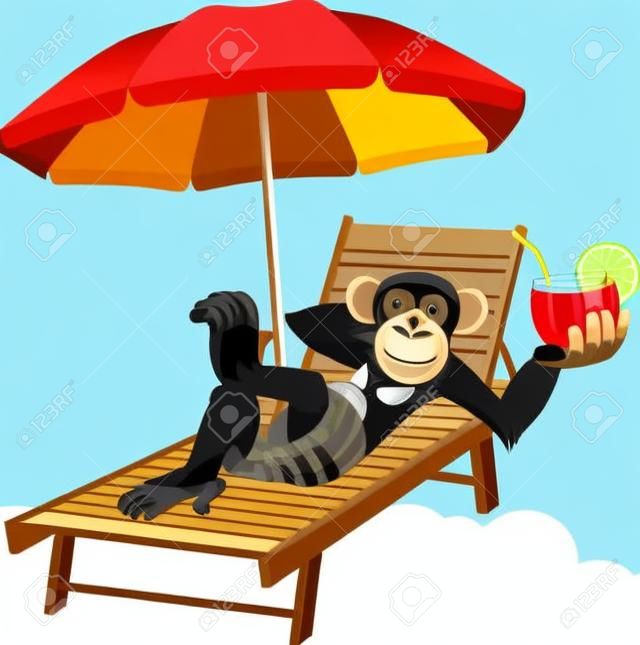 Vector illustration, monkey lying on a deck chair and drinking a cocktail