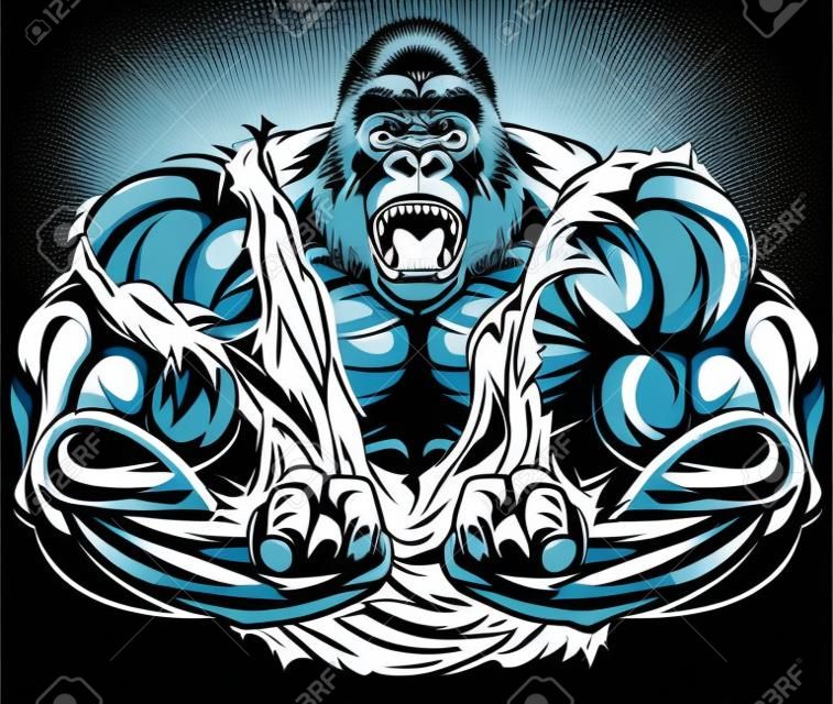 Ilustração vetorial, bodybuilder gorila feroz mostra seu bíceps grande