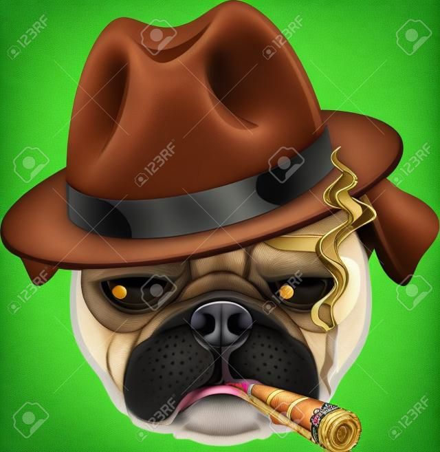 Portret van Pug-dog met Cigar, Cool Guy, Gangster Look