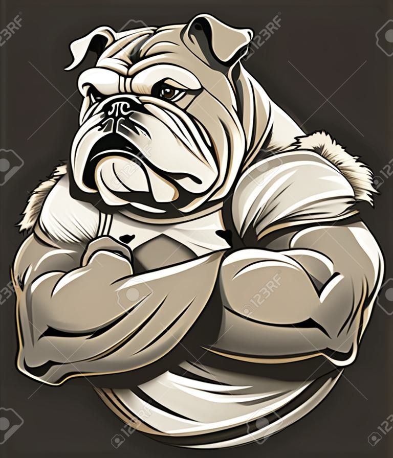 Vector illustration of a strong  bulldog with big biceps