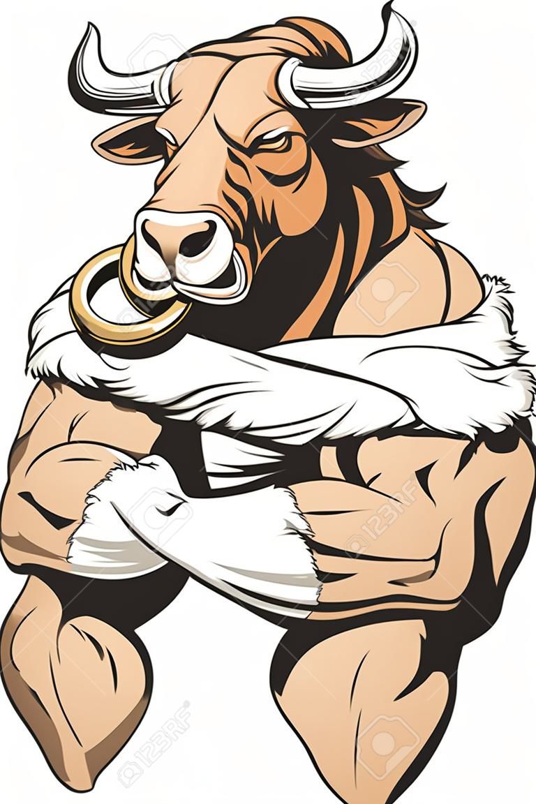 Illustrazione vettoriale di una forte toro con grandi bicipiti