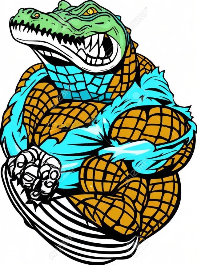 Vector illustration, un alligator féroce bodybuilder athlète pose, montrant de grands biceps