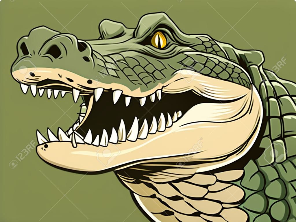 ilustracji wektorowych, okrutny głowę aligatora na białym tle.