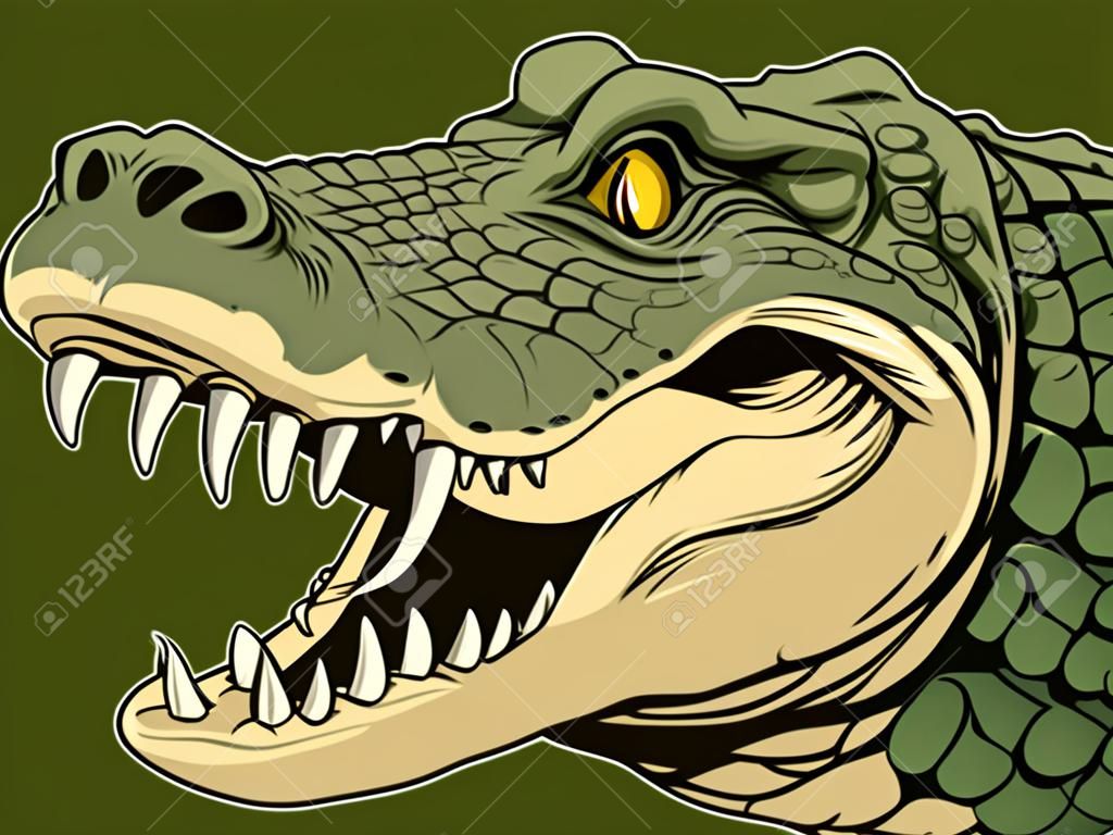 Vector illustration, une tête d'alligator féroce sur un fond blanc.