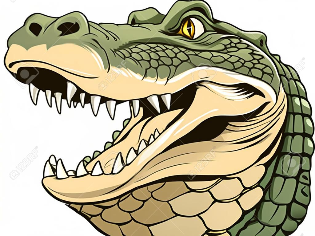 矢量插圖，在白色背景上兇猛的鱷魚頭。