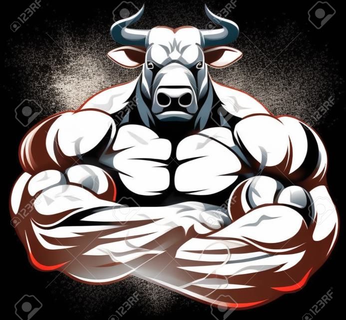 Ilustração vetorial de um touro saudável forte com bíceps grandes.