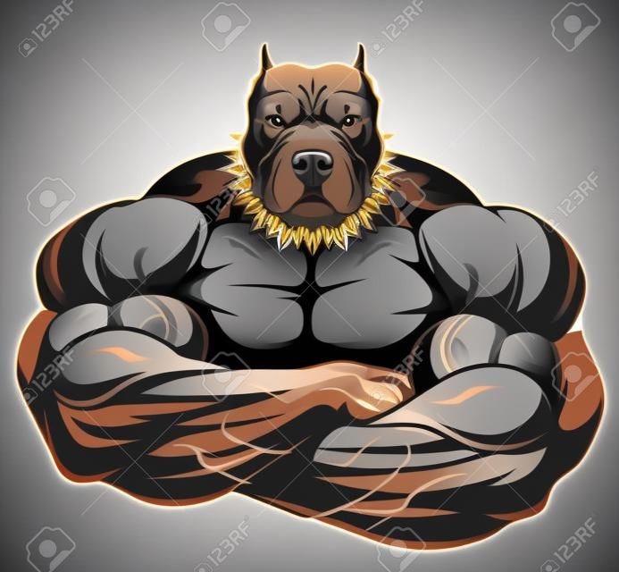 Vector illustratie van een sterke pitbull met grote biceps, bodybuilder