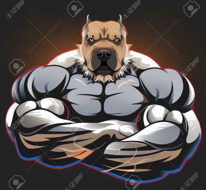 Ilustración vectorial de una fuerte pitbull con grandes bíceps, culturista