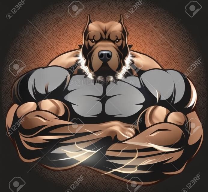 Ilustracji wektorowych silne pitbull z big biceps, kulturysta