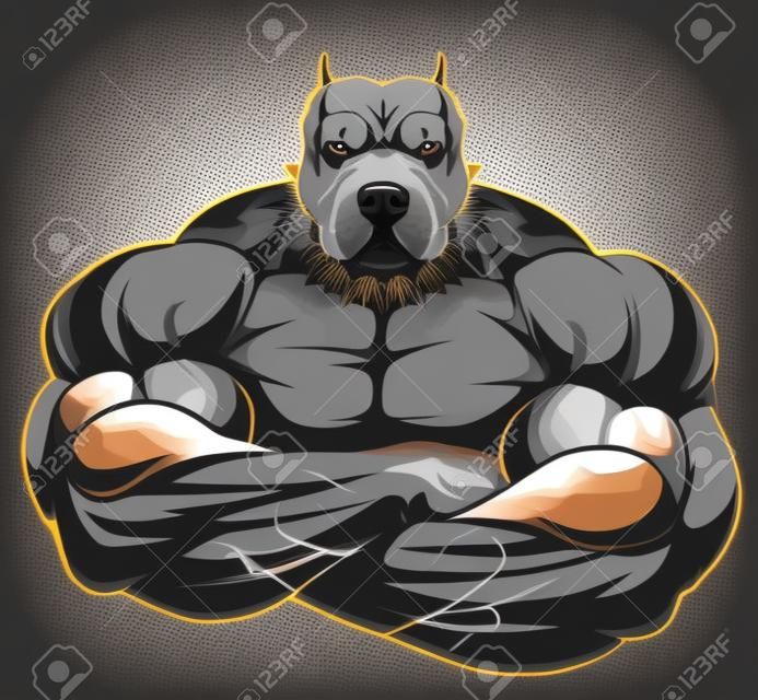 Vector illustratie van een sterke pitbull met grote biceps, bodybuilder