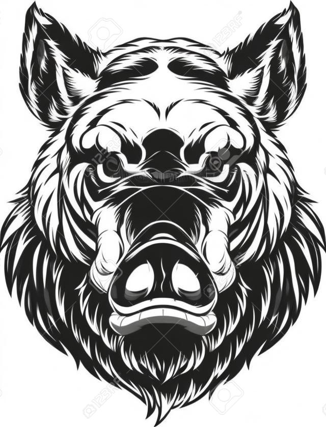 Vector illustration, the head of a ferocious wild boar, on a white background.