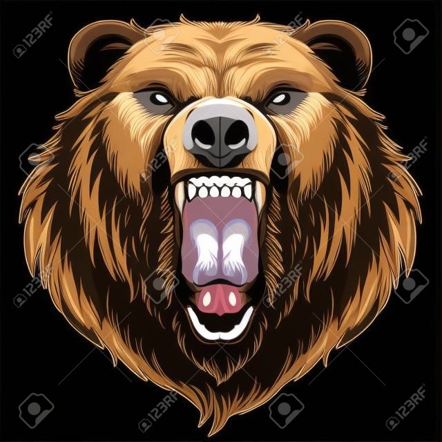 Vector illustration, head of a ferocious grizzly bear, on a black background