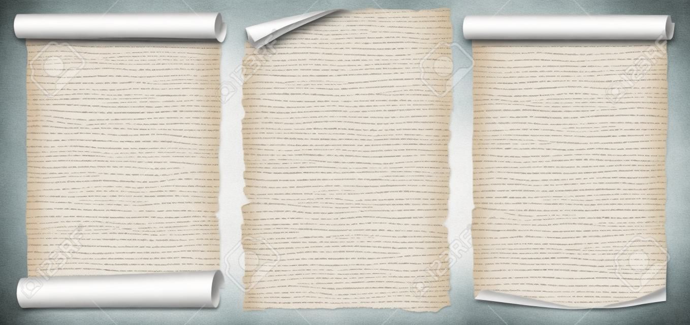 白に隔離された紙の巻物またはヴィンテージの羊皮紙セット