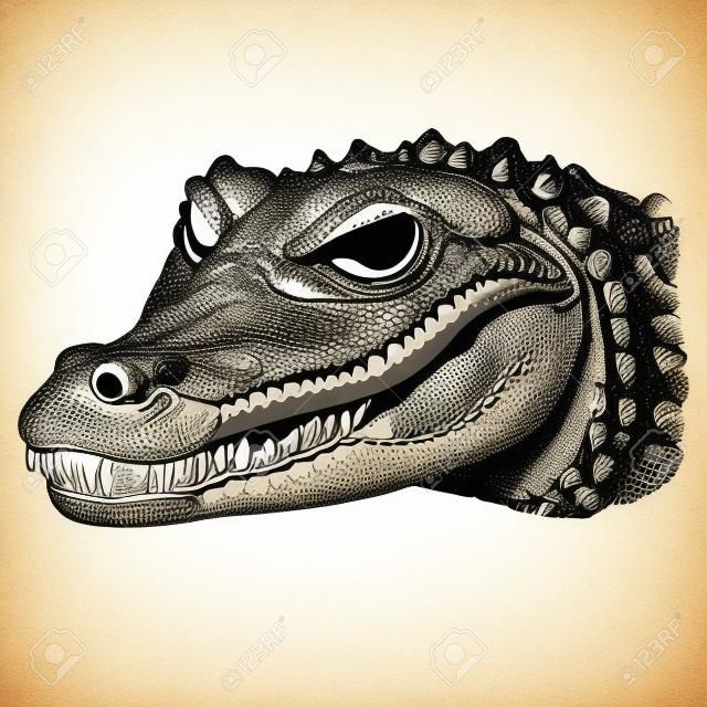 Vector antieke gravure illustratie van krokodillenkop