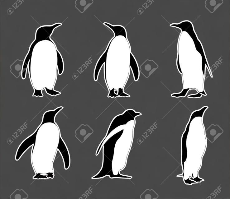 Ładny pingwin sylwetka wektor ilustracja projektu