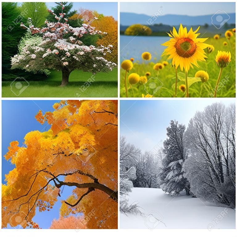 Четыре сезона Весна, лето, осень и зимние пейзажи