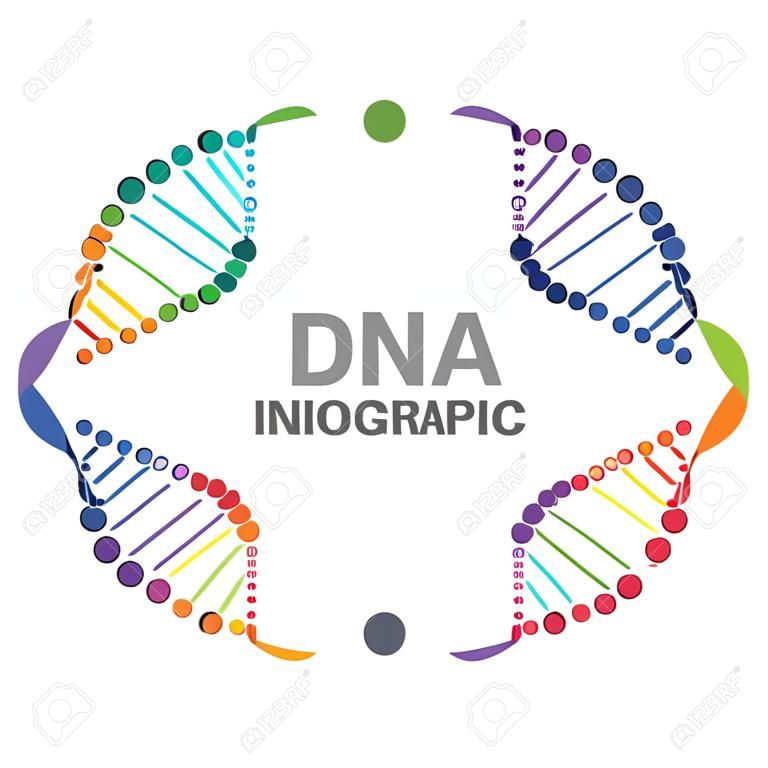 Abstract infographic DNA, can be used for workflow layout, diagram, number options
