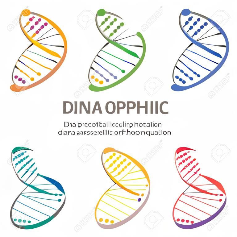 Abstract infographic DNA, can be used for workflow layout, diagram, number options