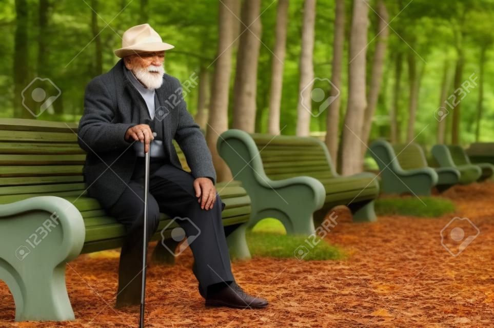 old elegant man with walkingstick sitting on a bench