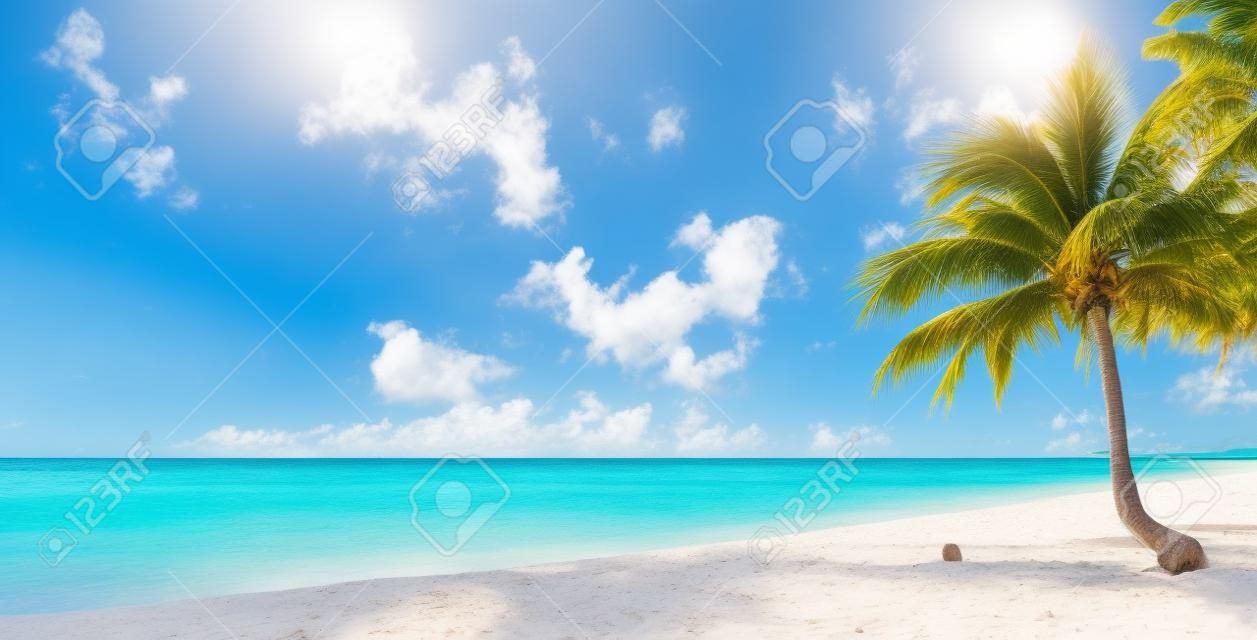 Amazing sandy beach with coconut palm tree and blue sky, Caribbean Islands