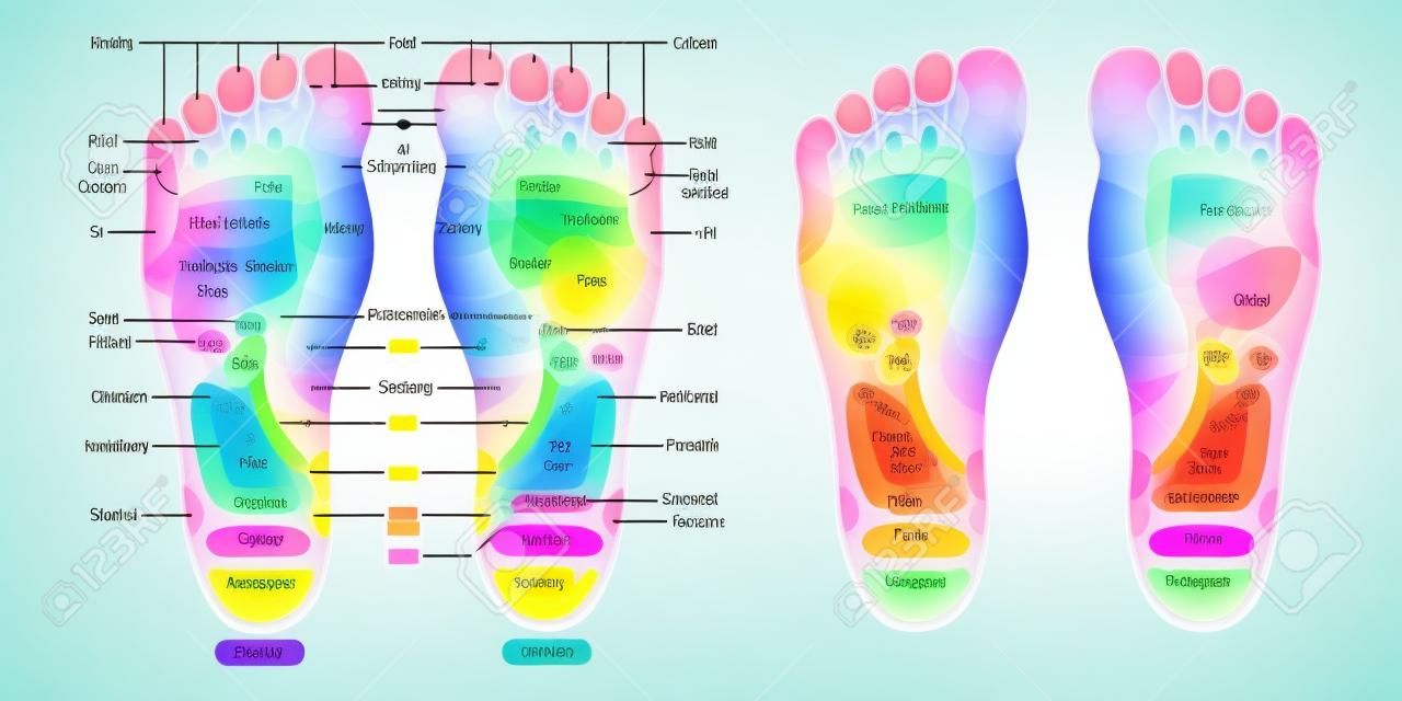 Refleksologia punktów masażu stóp Strefy refleksologii, znaki masażu i kolorowe punkty