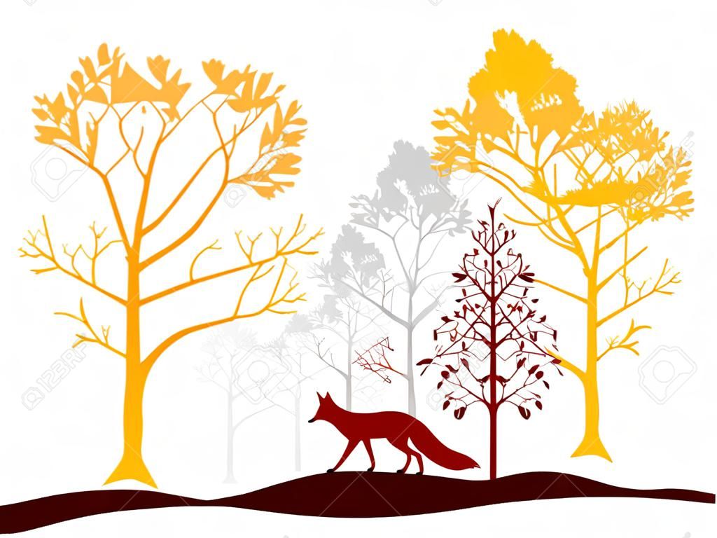 Set di alberi rossi, arancioni e grigi, volpe. Sagome di foresta e animale. Illustrazione isolato su sfondo bianco.