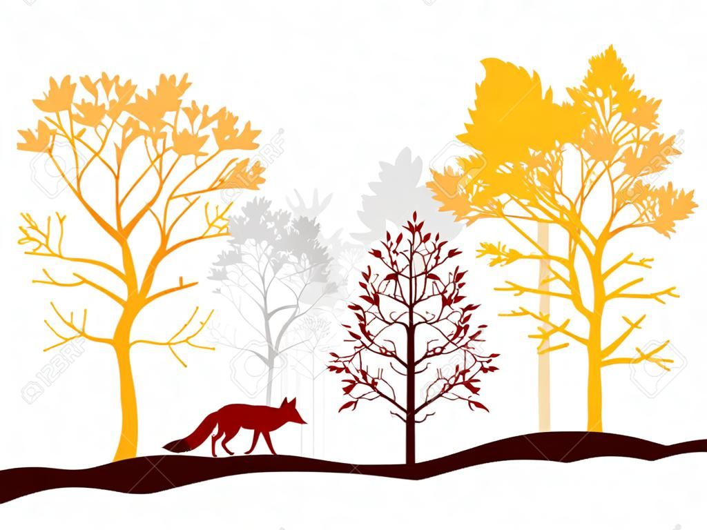 Set di alberi rossi, arancioni e grigi, volpe. Sagome di foresta e animale. Illustrazione isolato su sfondo bianco.