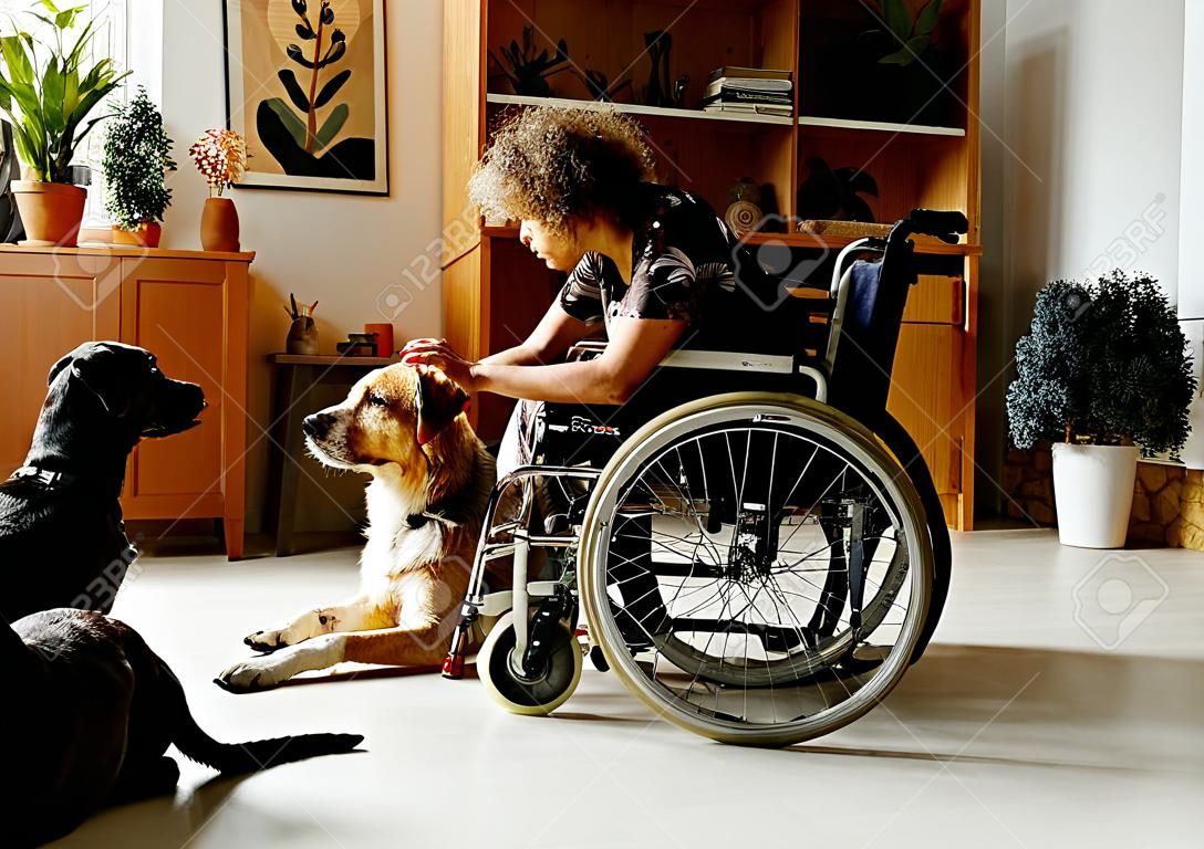 African girl sitting in wheelchair and giving commands to her dog, she training it and spending time with dog during her rehabilitation at home