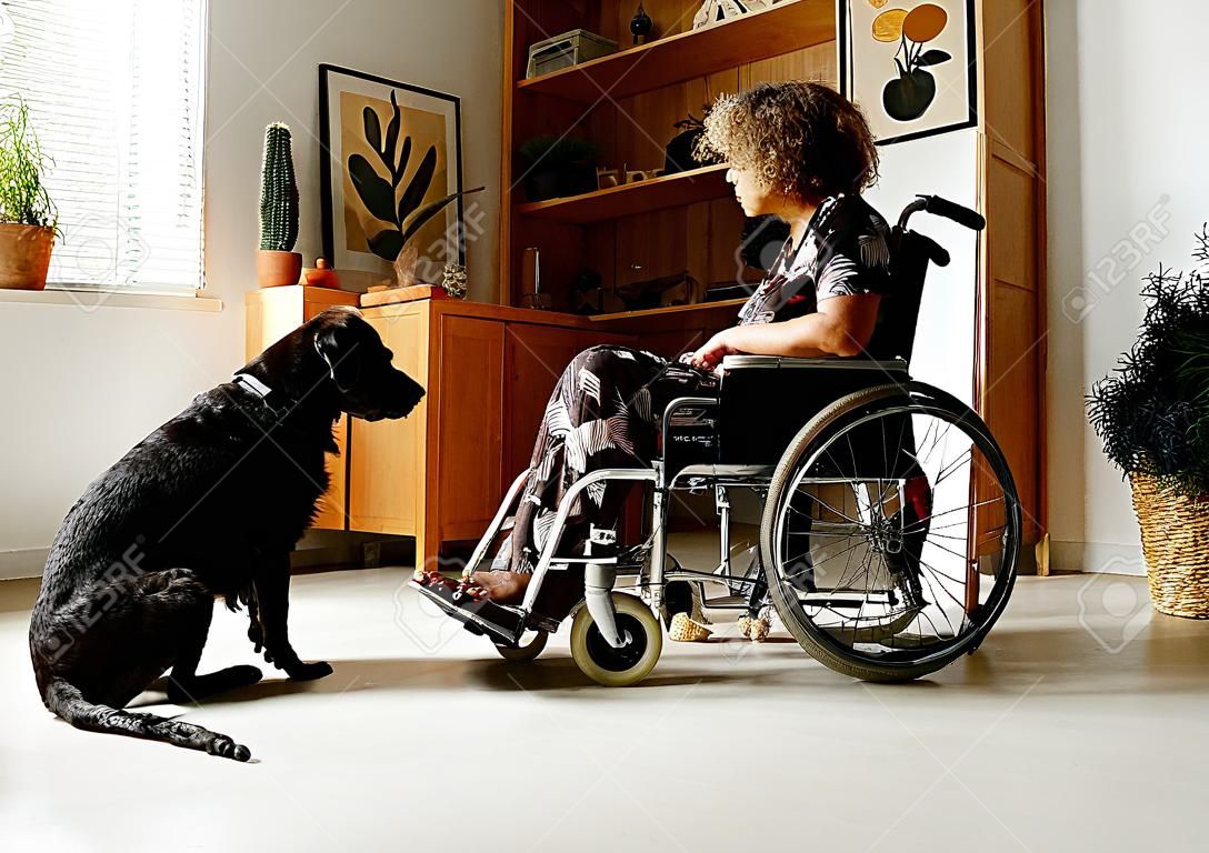 African girl sitting in wheelchair and giving commands to her dog, she training it and spending time with dog during her rehabilitation at home