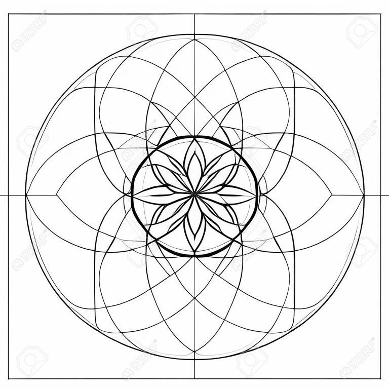 Sección dorada. Geometría sagrada. Símbolo del vector en la intersección para un número de líneas de Fibonacci. Líneas que se cruzan. Círculos de intersección. Patrón geométrico. Ilustraciones vectoriales