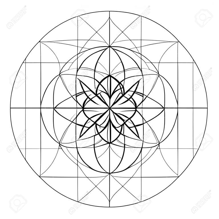 Sección dorada. Geometría sagrada. Símbolo del vector en la intersección para un número de líneas de Fibonacci. Líneas que se cruzan. Círculos de intersección. Patrón geométrico. Ilustraciones vectoriales