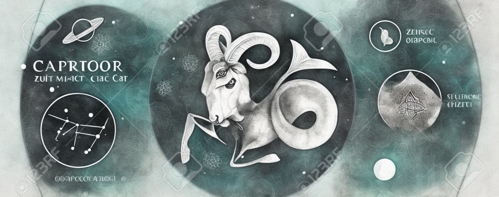 Carta di stregoneria magica moderna con astrologia segno zodiacale Capricorno. Testa di ariete o muflone con disegno a mano realistico. Caratteristica zodiacale