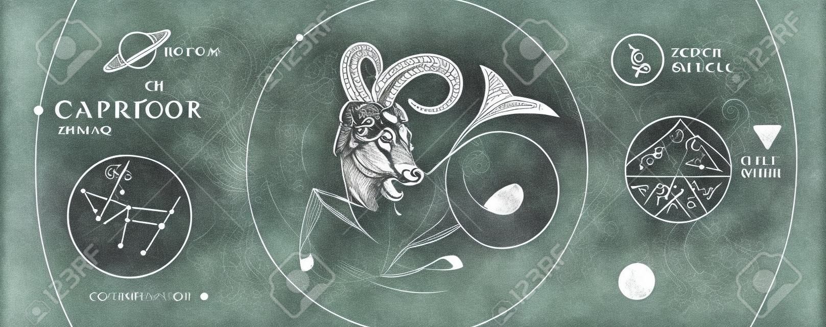 Moderne magische Hexenkarte mit Astrologie-Sternzeichen Steinbock. Realistische Handzeichnung Widder oder Mufflonkopf. Zodiac-Charakteristik