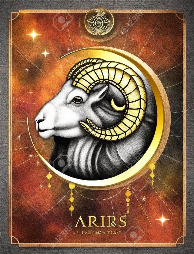 Moderne magische Hexenkarte mit Sternzeichen Widder der Astrologie. Realistische Handzeichnung Widder oder Mufflonkopf
