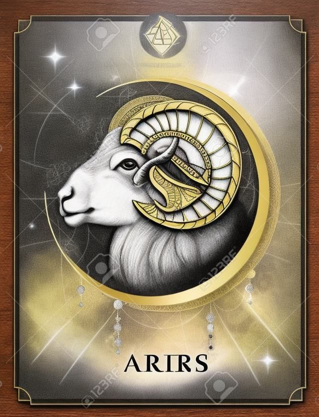 Modern magic witchcraft card with astrology Aries zodiac sign. Realistic hand drawing ram or mouflon head