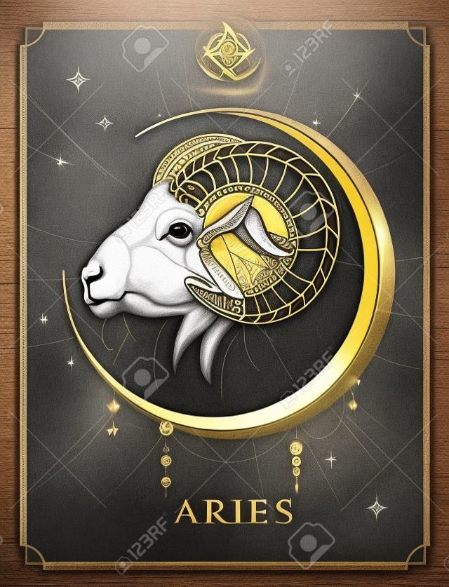 Modern magic witchcraft card with astrology Aries zodiac sign. Realistic hand drawing ram or mouflon head
