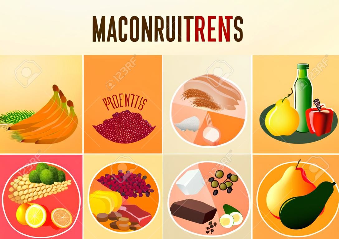 Main food groups - macronutrients. Carbohydrates, fats and proteins in comparison. Dieting, healthcare and eutrophy concept. Vector illustration isolated on a lighr beige background. Landscape poster.