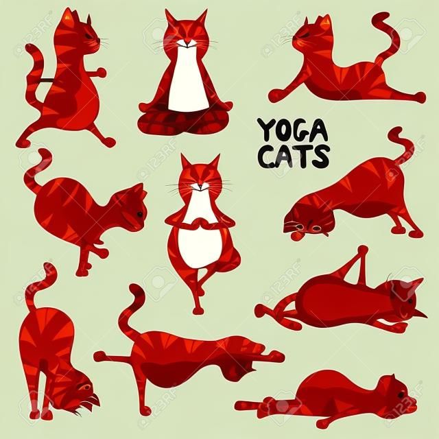 一套孤立的卡通滑稽的猫图标做瑜伽姿势