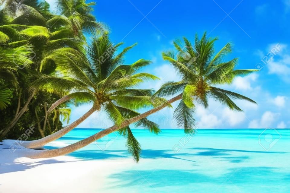 Paraíso tropical nas Maldivas com palmeiras e céu azul
