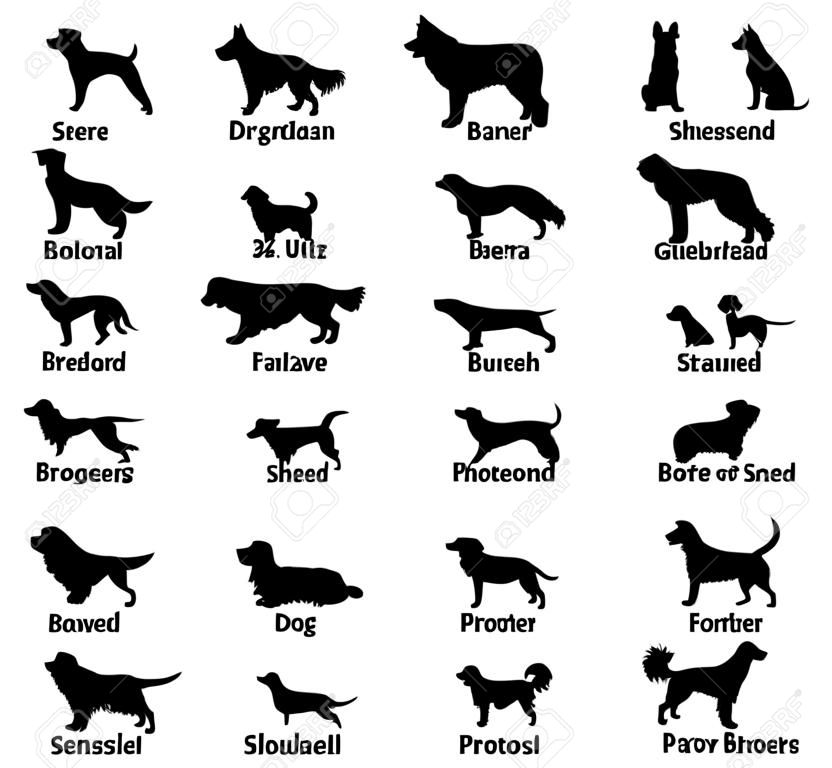 Conjunto de cães cria silhuetas isoladas no branco. Diferentes ícones de cães com nomes.