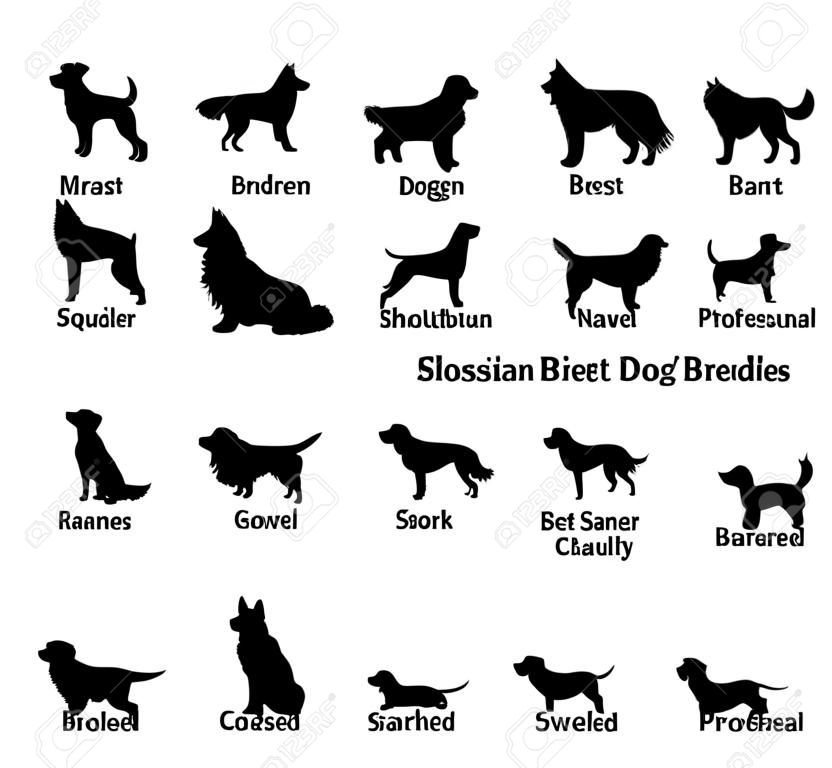 Ensemble de races de chien silhouettes isolé sur blanc. Différents chiens icônes avec des noms.