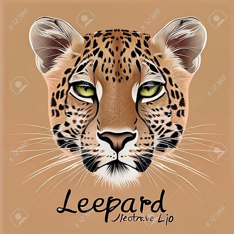 Vector Illustrative Portrait of Leopard. Cute face of African Leopard
