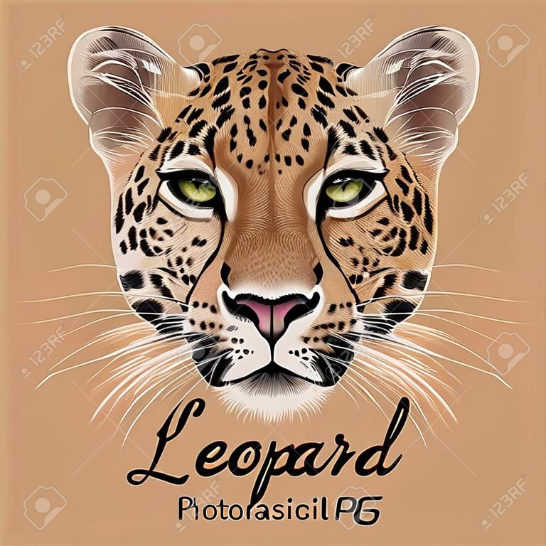 Вектор Показательный Портрет Leopard. Милые Лица Африканского Леопарда  Клипарты, SVG, векторы, и Набор Иллюстраций Без Оплаты Отчислений. Image  44310131