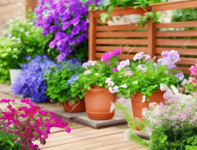 Üppige Blumen in Tontöpfen auf sonniger Sommerterrasse aus Holz