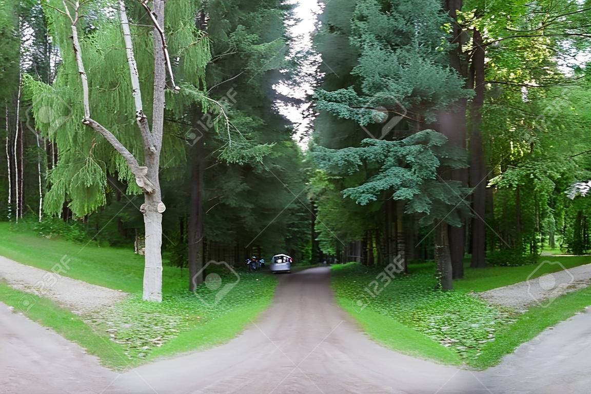 Three forest roads converge into one or diverge point of three ways. Gatchina town, Russia