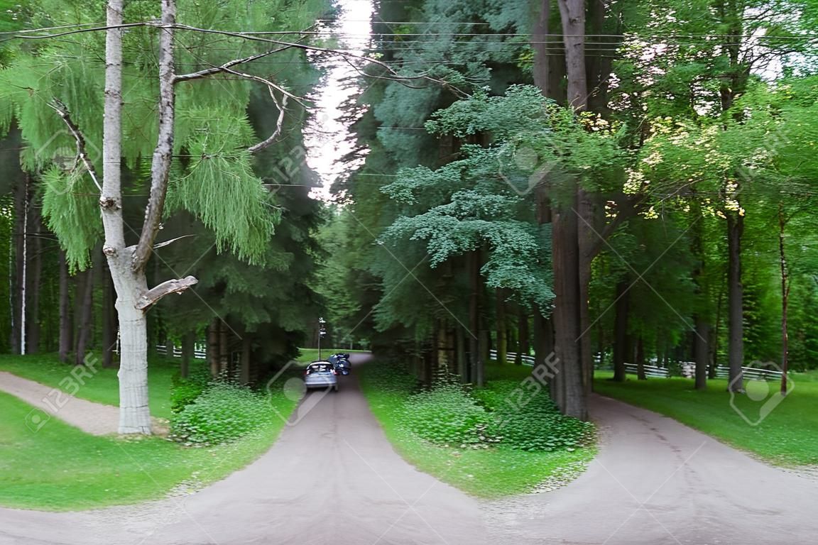 Three forest roads converge into one or diverge point of three ways. Gatchina town, Russia