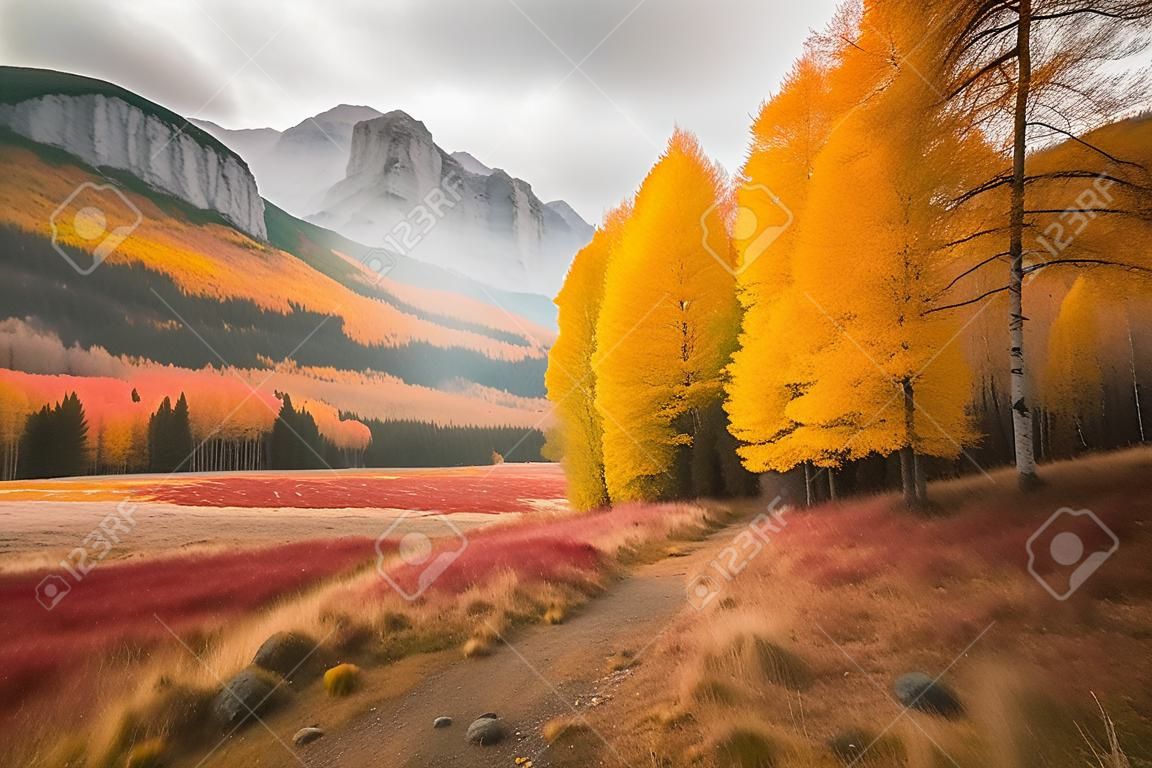 Splendid colorful autumn landscape, Autumn scene of colorful hills in popular landscape of alaska