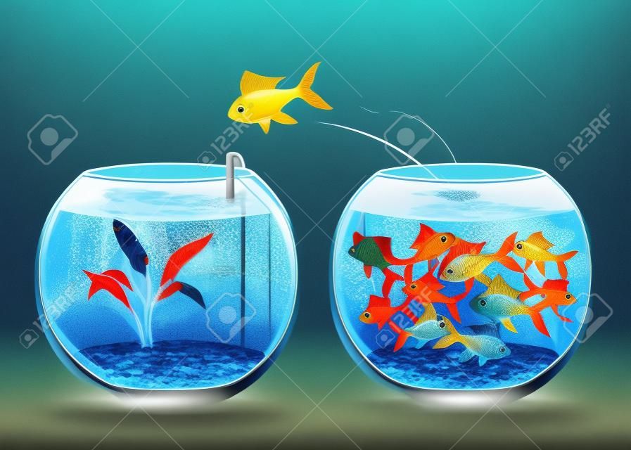 Ilustração de peixes saltando do aquário lotado para uma nova vida