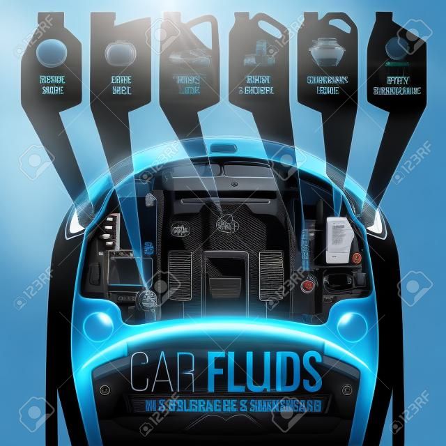 Which fluids need to be changed under the hood of the car?
